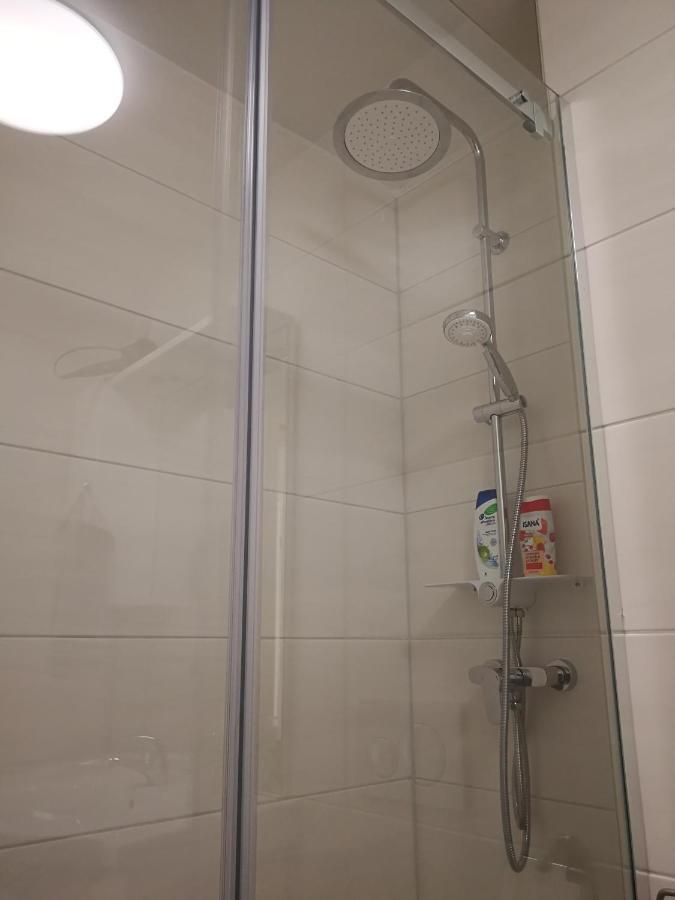 Central-Apt At Lake, Citycenter 5Min, Fair 18Min!!! ニュルンベルク エクステリア 写真